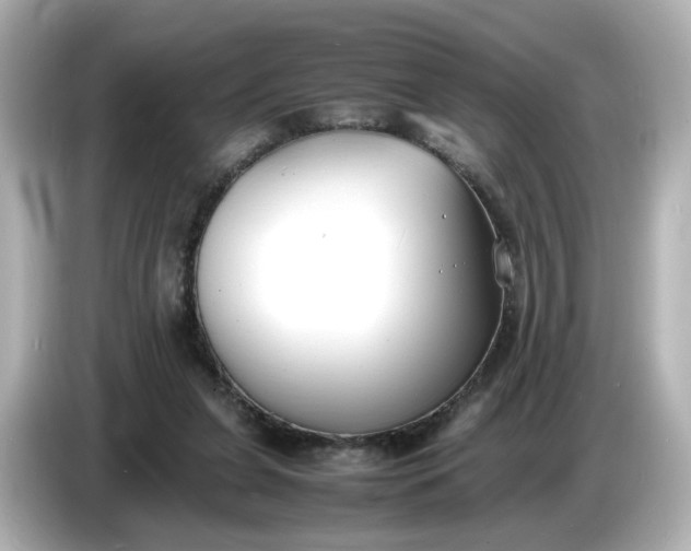 X0000086910255200704301043