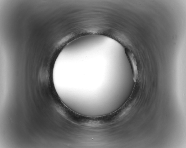 X0000086910256200704301043