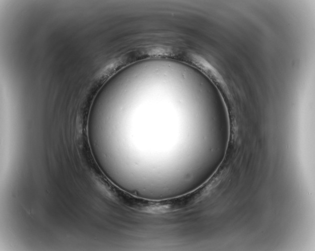 X0000086910257200704301043