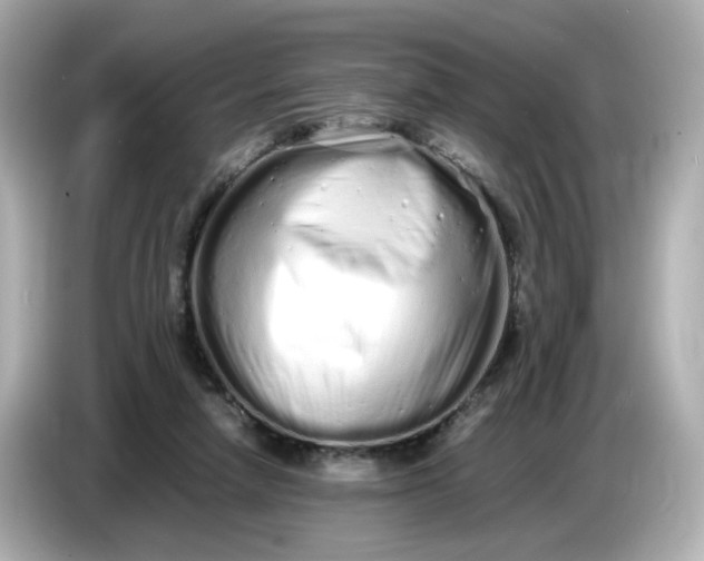 X0000086910258200704301043