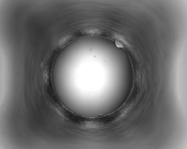 X0000086910259200704301043