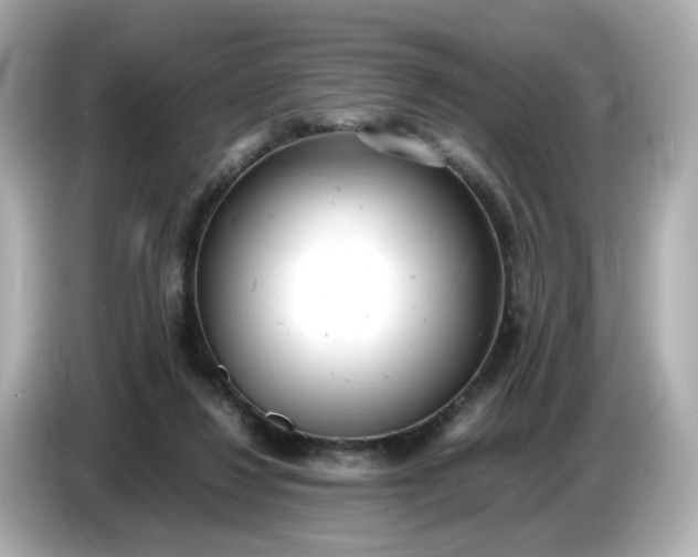 X0000086910260200704301043