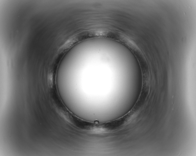 X0000086910262200704301043