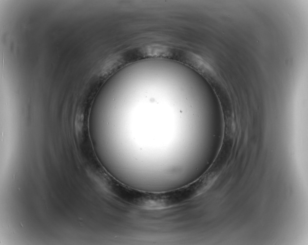 X0000086910263200704301043