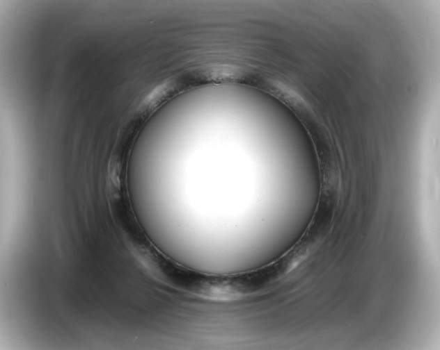 X0000086910264200704301043