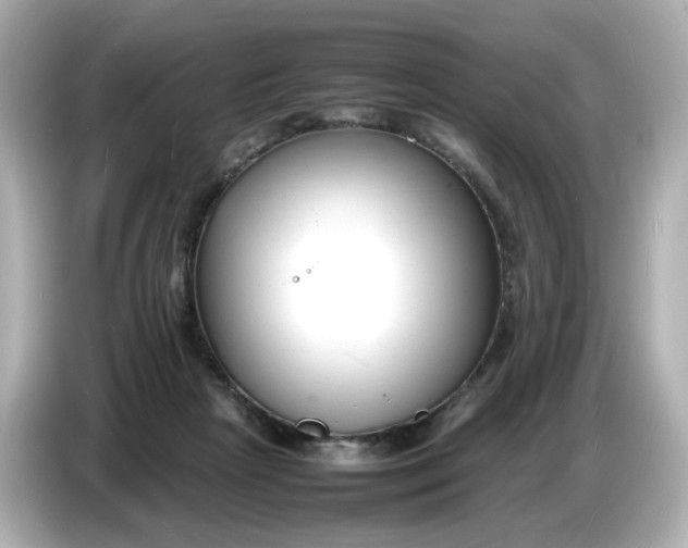 X0000086910265200704301043