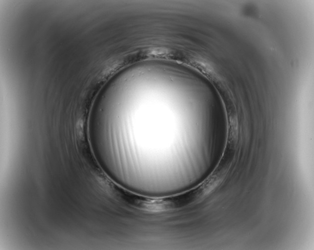 X0000086910269200704301043