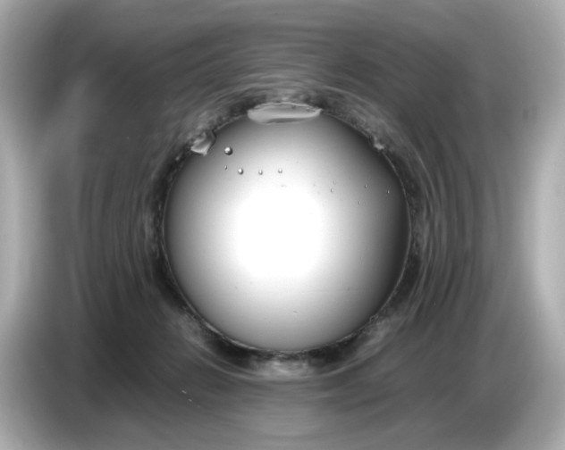 X0000086910270200704301043