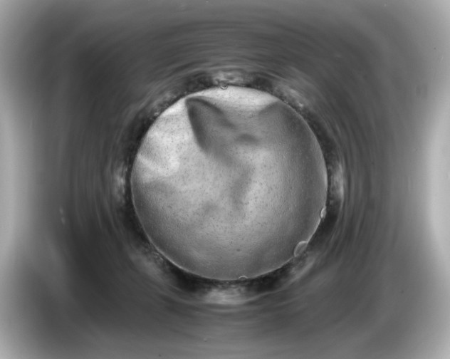 X0000086910271200704301043