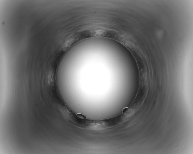 X0000086910274200704301043