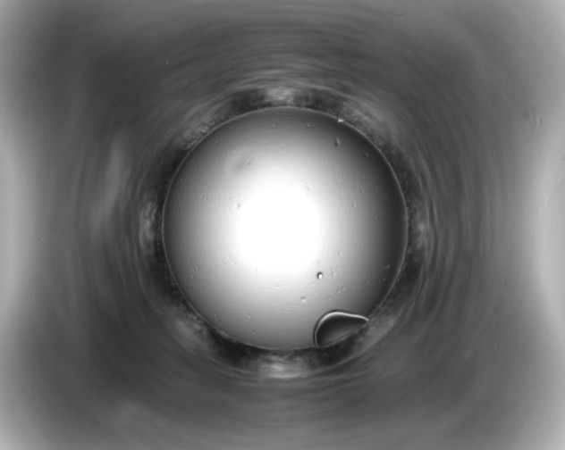 X0000086910275200704301043