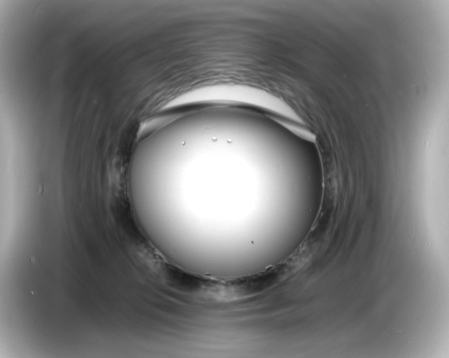 X0000086910276200704301043