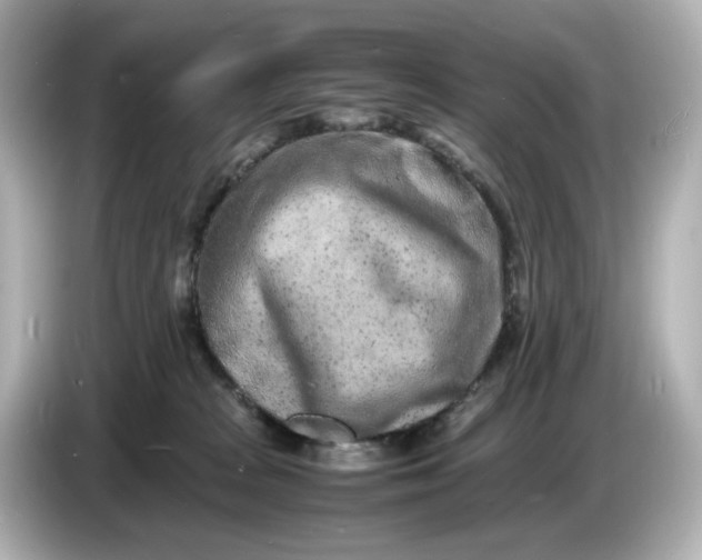 X0000086910277200704301043