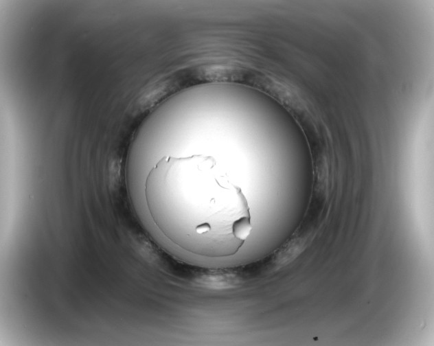 X0000086910278200704301043