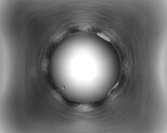 X0000086910280200704301043