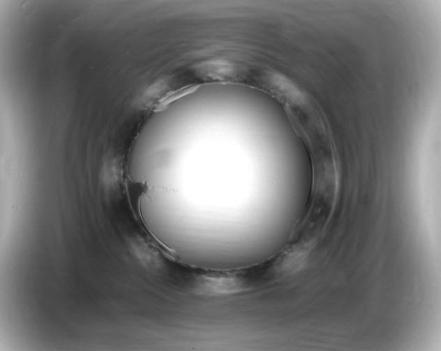 X0000086910284200704301043