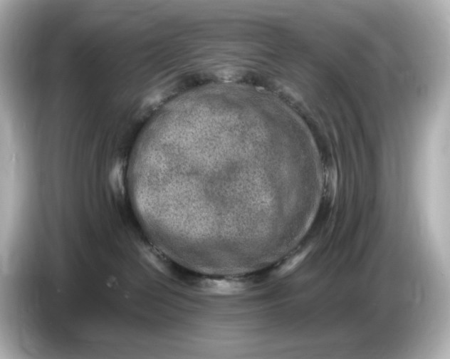 X0000086910286200704301043