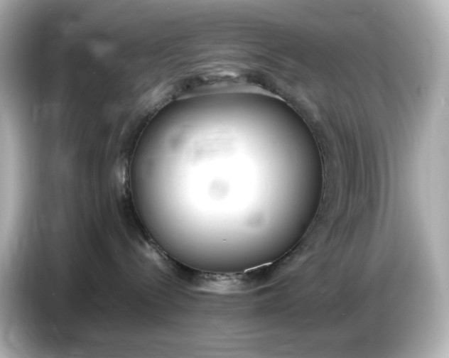 X0000086910288200704301043