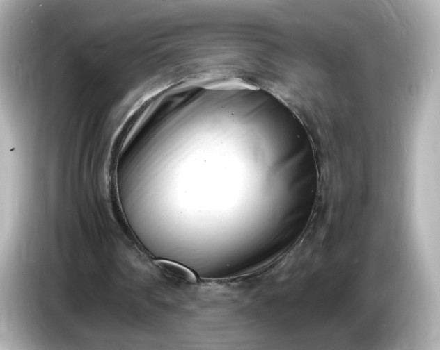 X0000086910290200704301043