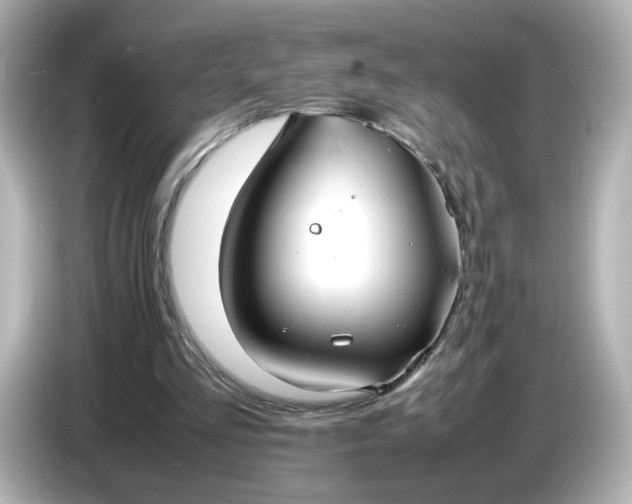 X0000086910293200704301043