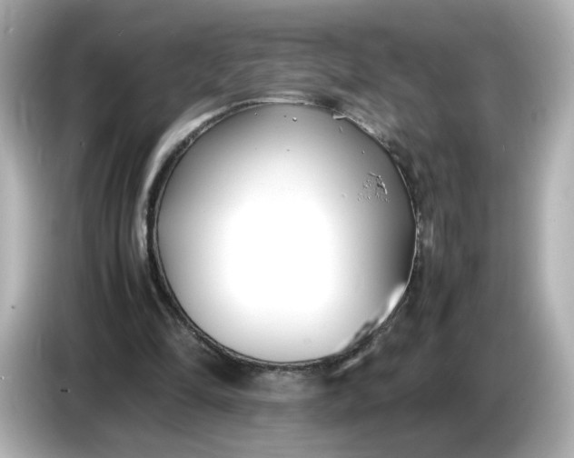 X0000086910294200704301043