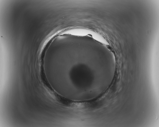 X0000086910295200704301042