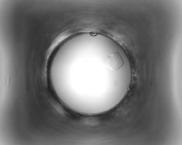 X0000086910296200704301042