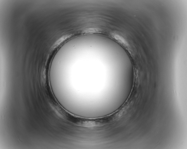 X0000086910298200704301042