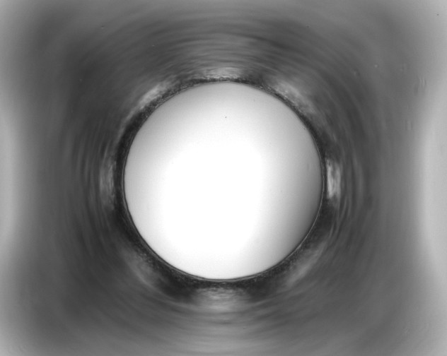 X0000086910300200704301042