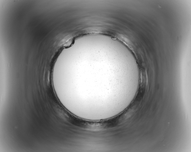 X0000086910301200704301042