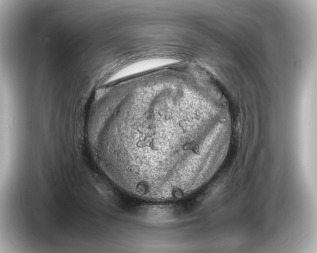 X0000086910303200704301042