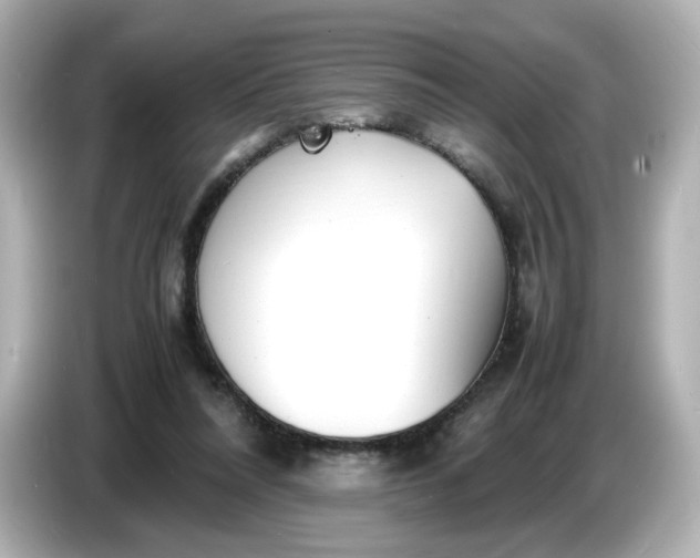 X0000086910304200704301042