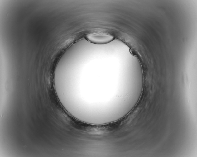 X0000086910305200704301042