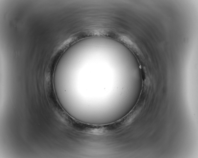 X0000086910306200704301042