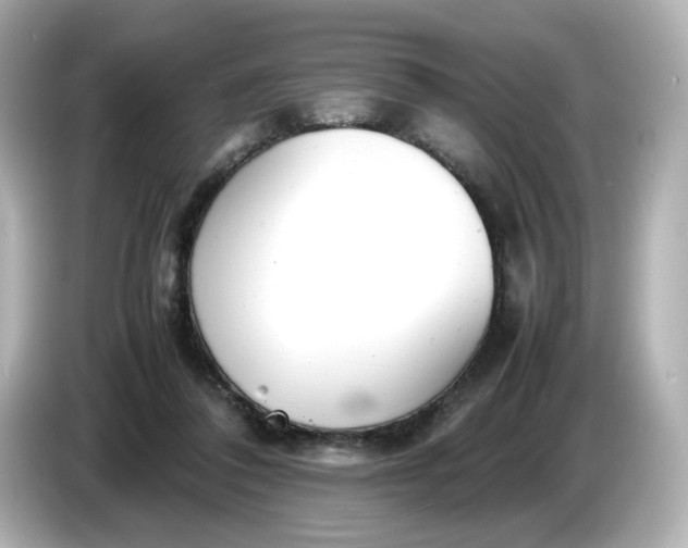 X0000086910308200704301042