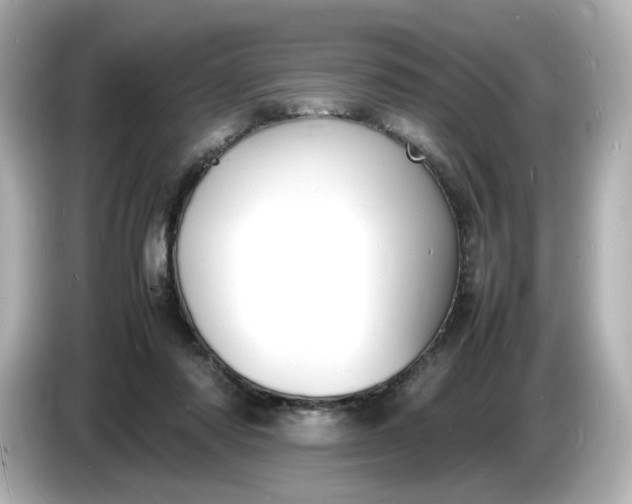 X0000086910310200704301042