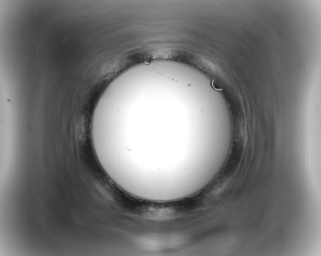 X0000086910311200704301042