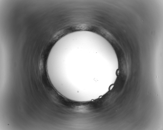 X0000086910312200704301042