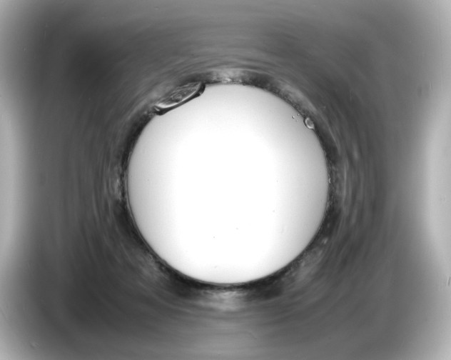 X0000086910313200704301042