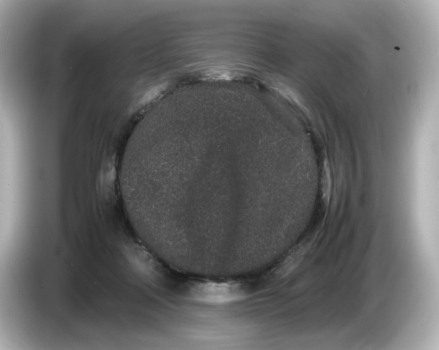 X0000086910314200704301042