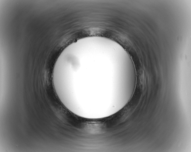 X0000086910316200704301042