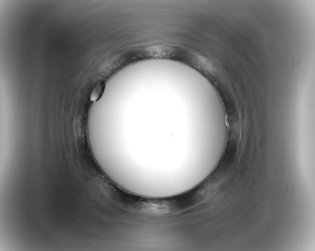 X0000086910317200704301042