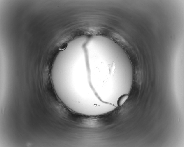 X0000086910318200704301042