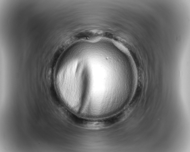 X0000086910319200704301042