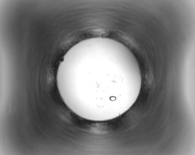 X0000086910320200704301042