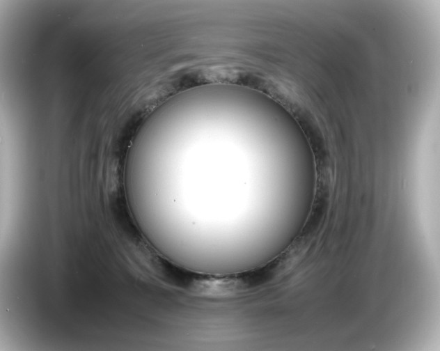 X0000086910323200704301042