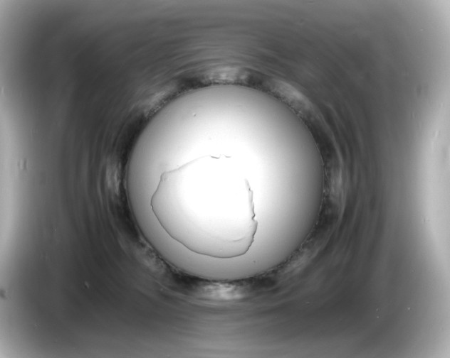 X0000086910326200704301042