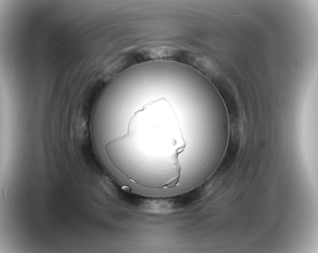 X0000086910327200704301042