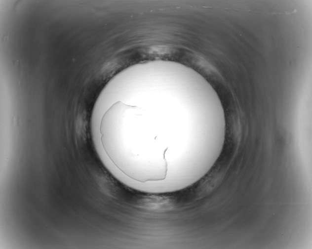 X0000086910328200704301042