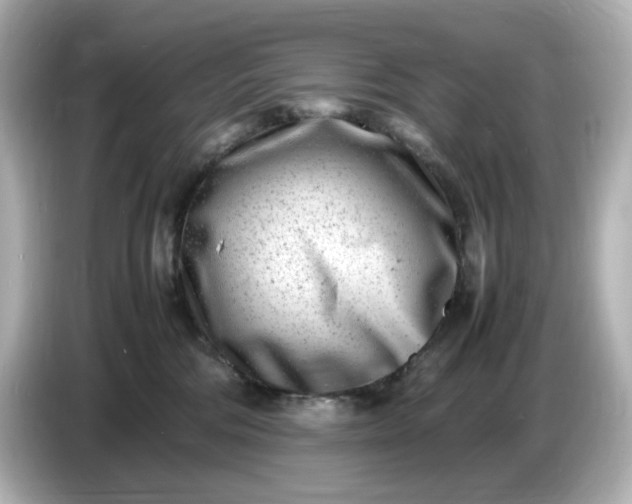 X0000086910330200704301042